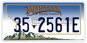 352561E  license plate in MT