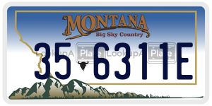 356311E  license plate in MT