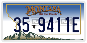 359411E  license plate in MT