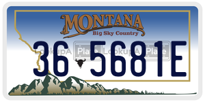 365681E  license plate in MT