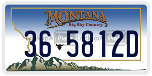 365812D  license plate in MT