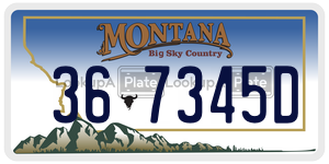 367345D  license plate in MT