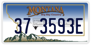373593E  license plate in MT