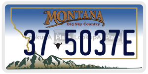 375037E license plate in Montana