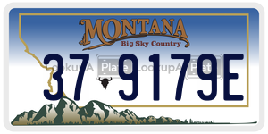 379179E  license plate in MT