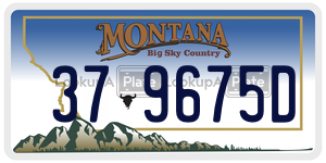379675D  license plate in MT