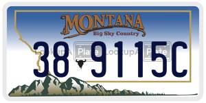 389115C  license plate in MT
