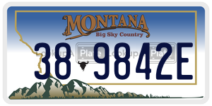 389842E  license plate in MT