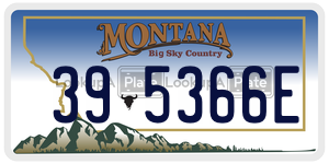 395366E  license plate in MT