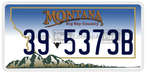 395373B  license plate in MT