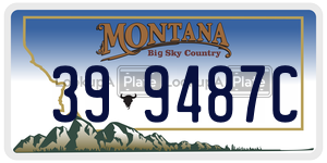 399487C license plate in Montana
