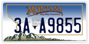 3AA9855  license plate in MT
