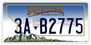 3AB2775  license plate in MT