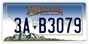 3AB3079  license plate in MT
