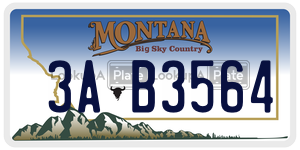 3AB3564  license plate in MT