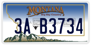 3AB3734  license plate in MT