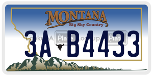 3AB4433  license plate in MT