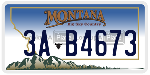 3AB4673  license plate in MT
