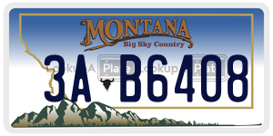 3AB6408  license plate in MT