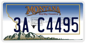 3AC4495  license plate in MT