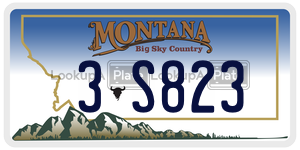 3S823  license plate in MT