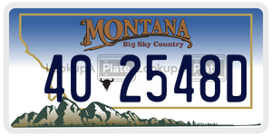 402548D  license plate in MT
