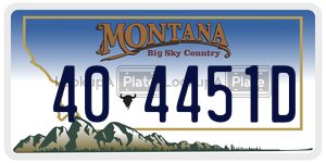404451D  license plate in MT