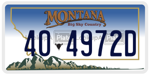 404972D  license plate in MT