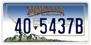 405437B  license plate in MT