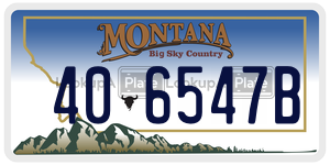406547B  license plate in MT