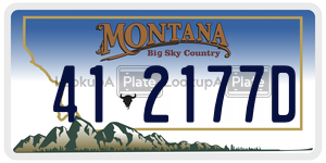 412177D  license plate in MT