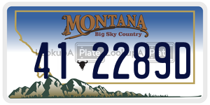 412289D  license plate in MT