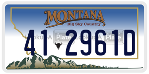 412961D  license plate in MT