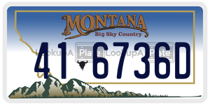 416736D  license plate in MT