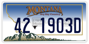 421903D  license plate in MT