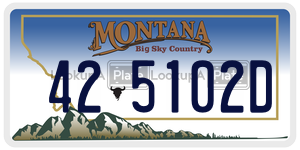 425102D  license plate in MT