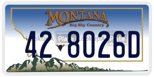 428026D  license plate in MT