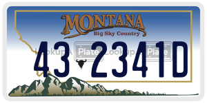432341D  license plate in MT