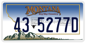 435277D  license plate in MT