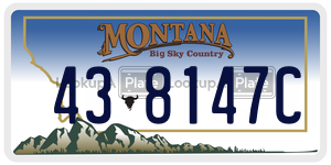 438147C  license plate in MT