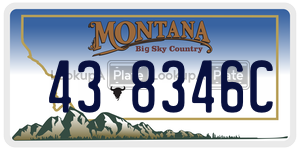 438346C  license plate in MT