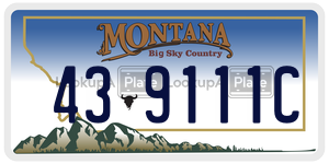 439111C  license plate in MT