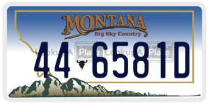 446581D  license plate in MT