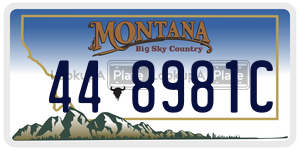 448981C license plate in Montana