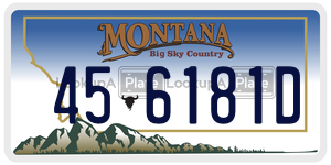 456181D  license plate in MT