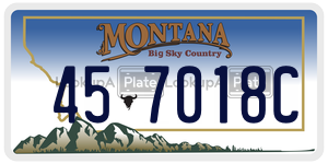 457018C  license plate in MT