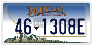 461308E  license plate in MT