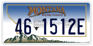 461512E  license plate in MT