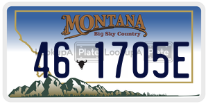 461705E  license plate in MT
