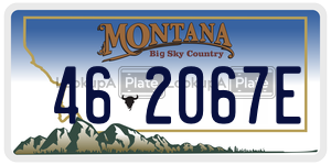 462067E  license plate in MT